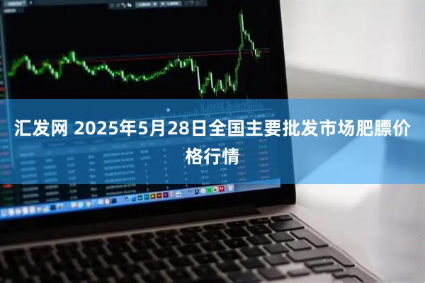 汇发网 2025年5月28日全国主要批发市场肥膘价格行情
