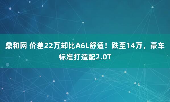 鼎和网 价差22万却比A6L舒适！跌至14万，豪车标准打造配2.0T