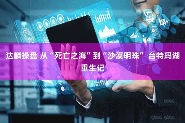 达麟操盘 从“死亡之海”到“沙漠明珠” 台特玛湖重生记