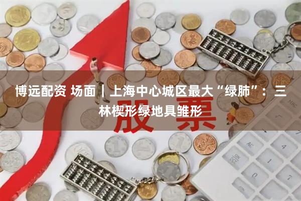 博远配资 场面｜上海中心城区最大“绿肺”：三林楔形绿地具雏形