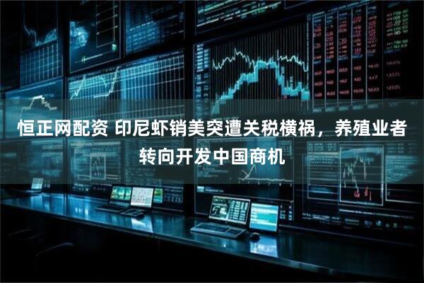 恒正网配资 印尼虾销美突遭关税横祸，养殖业者转向开发中国商机