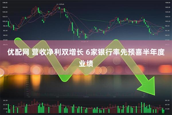 优配网 营收净利双增长 6家银行率先预喜半年度业绩