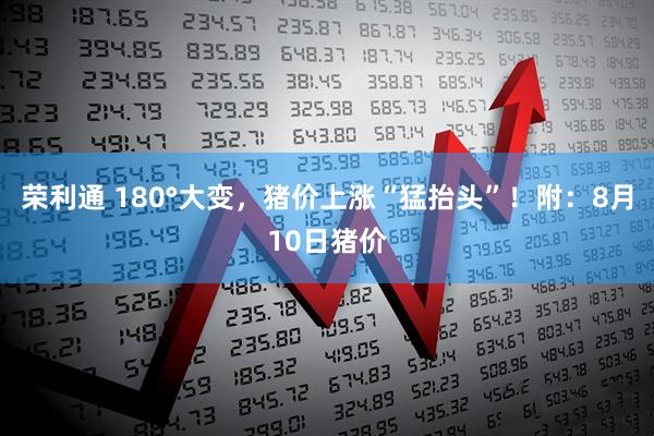 荣利通 180°大变，猪价上涨“猛抬头”！附：8月10日猪价