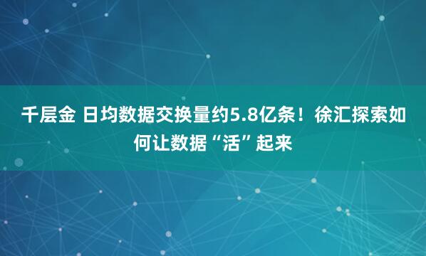 千层金 日均数据交换量约5.8亿条！徐汇探索如何让数据“活”起来