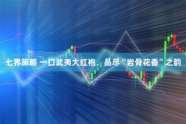 七界策略 一口武夷大红袍，品尽“岩骨花香”之韵